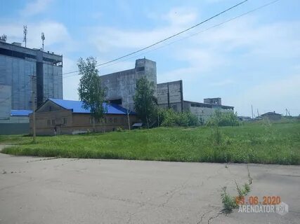 Приморский край сибирцева