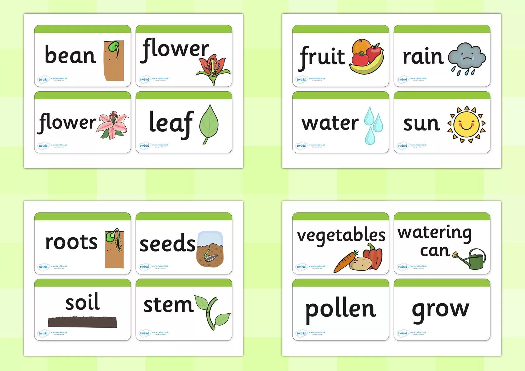 4 learn new words. Plant Word. Topic about Plants. Plants Vocabulary. Plants 5 Grade exercises.