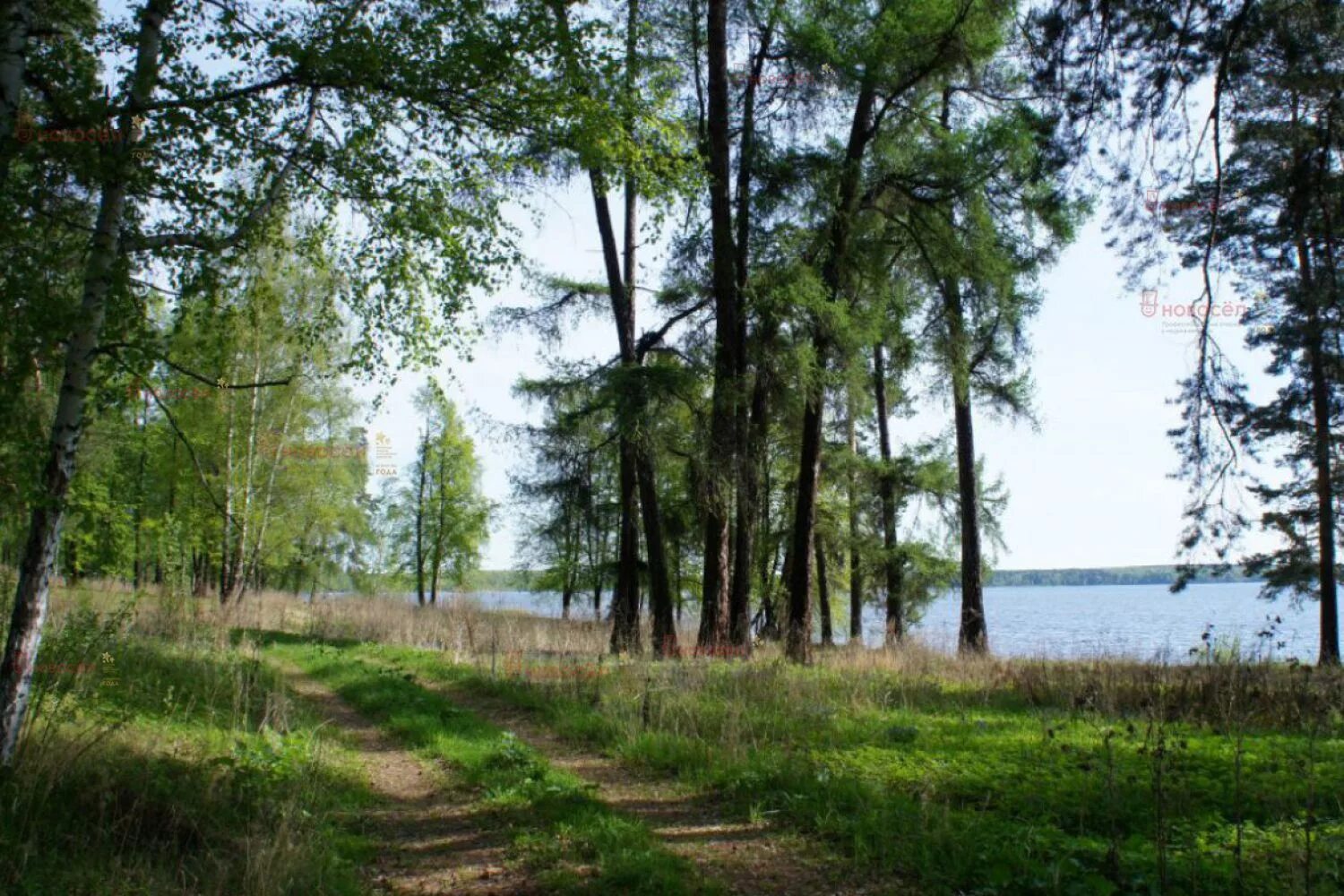 Поселок санаторный. Озеро Балтым Санаторный. Куровицы Кингисеппский район. Пос Санаторный верхняя Пышма. Поселок Санаторный Балтым.