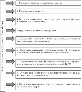 Ответственность налогоплательщика и налоговых органов