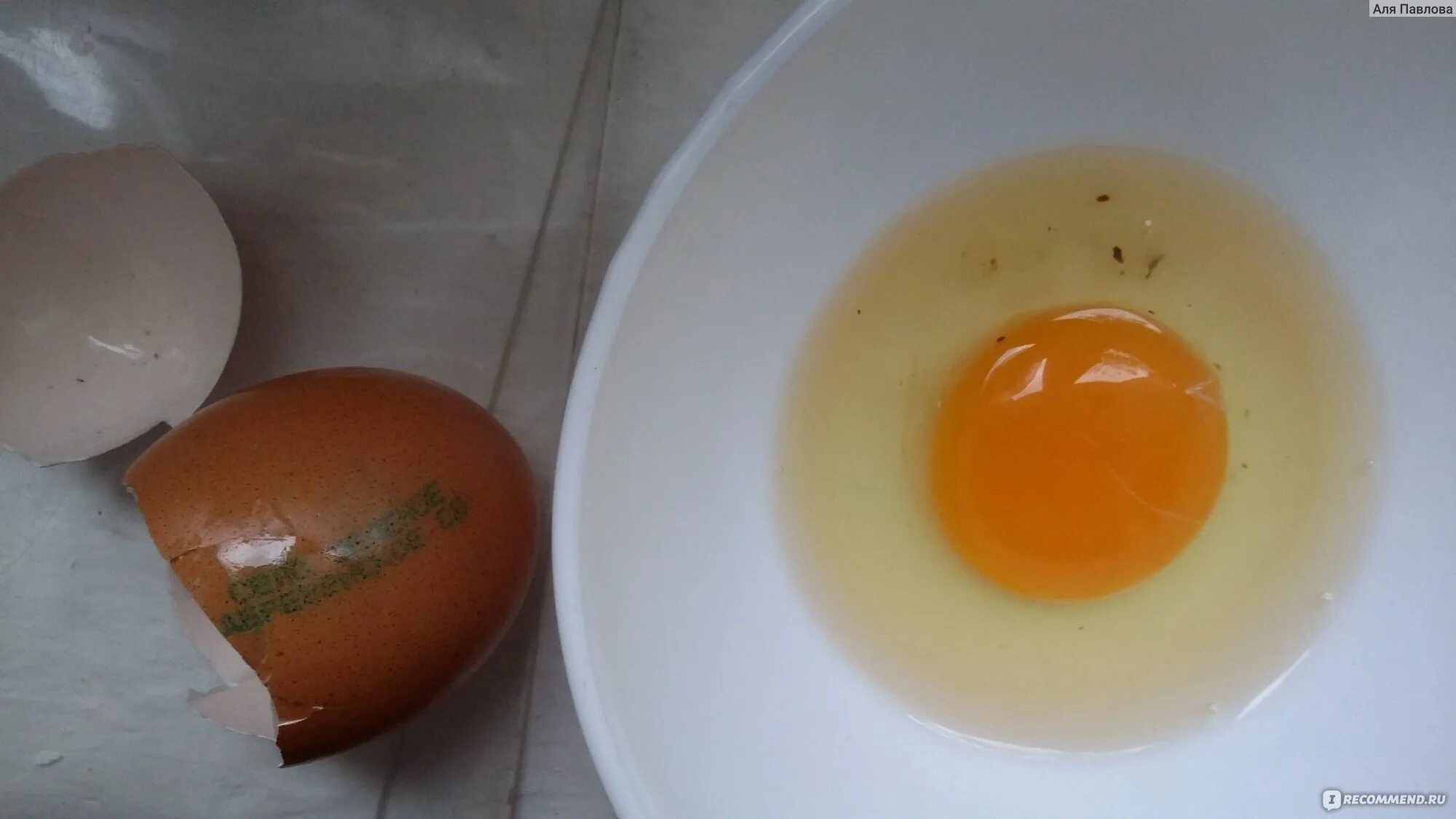 Почему мутные белки яиц. Красное пятно в яйце курином. Красная точка в яйце курином. Коричневые точки в белке яйца. Красные точки в белке яйца.