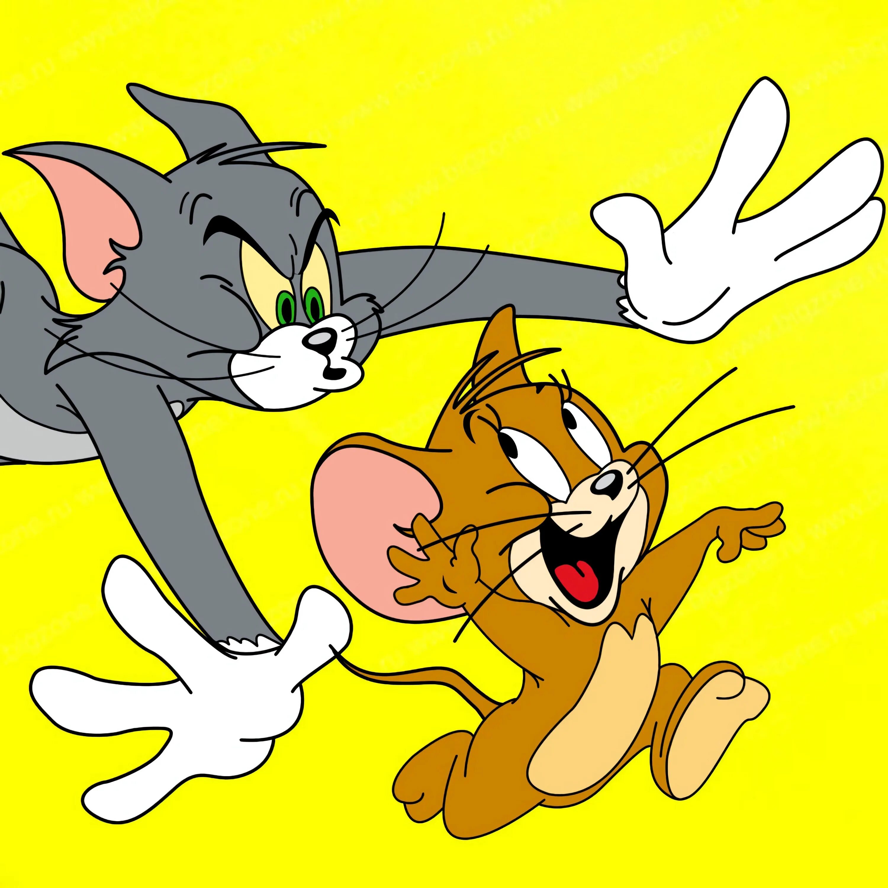 Новый том и джерри 2023. Tom i Jerry. Том и Джерри картинки. Том и Джерри Джерри. Том и Джерри картинки из мультфильма.