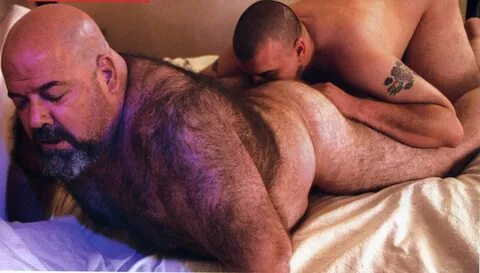 Bear hot gay.