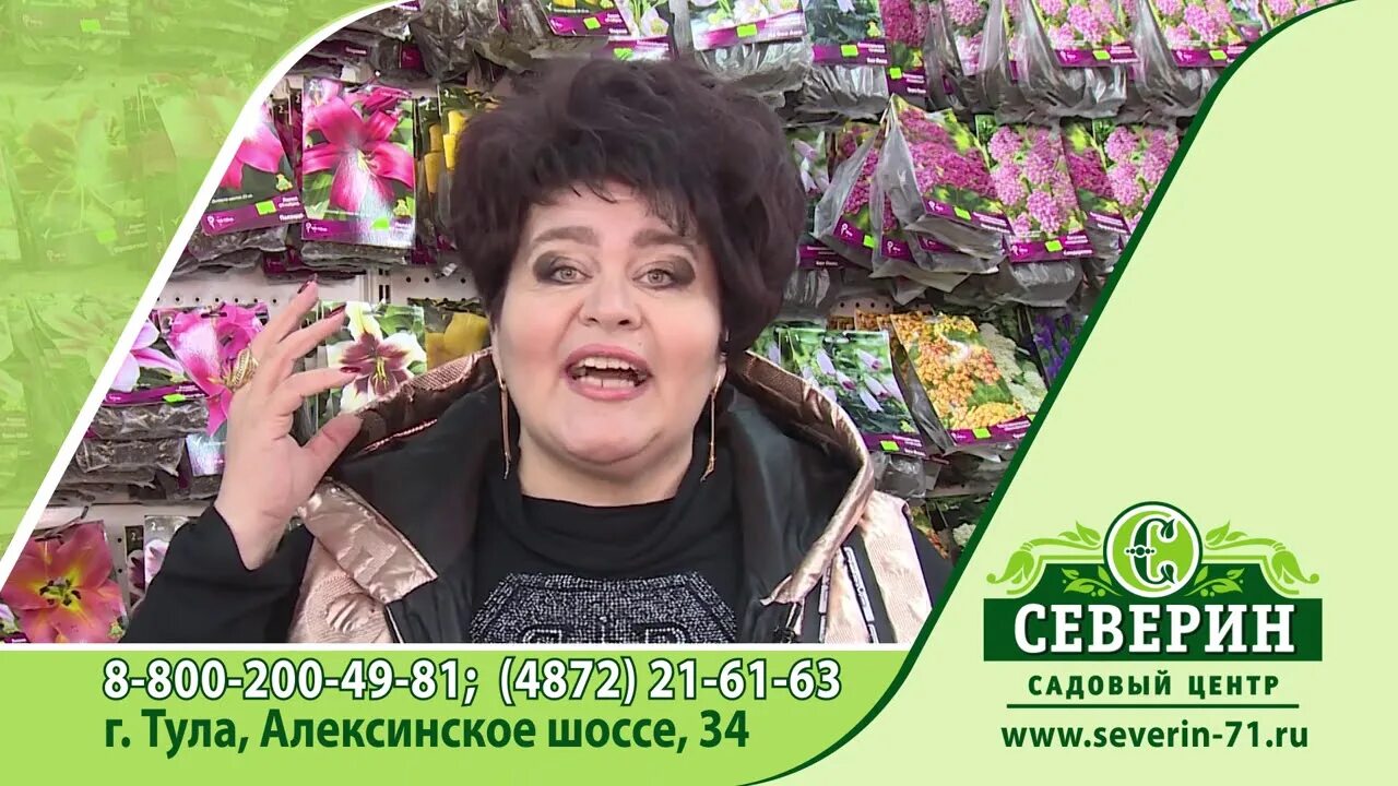 Тула новомосковское шоссе 60а огород 71. Садов центр хомяк тула. Садовый центр магазин. Садовые центры в туле адреса. Хомяк садовый центр тула.