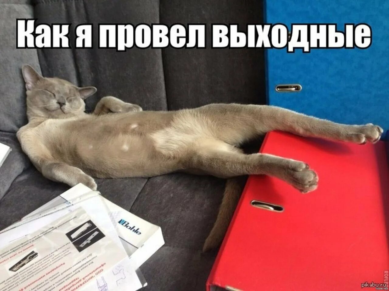 Что можно поделать на выходных