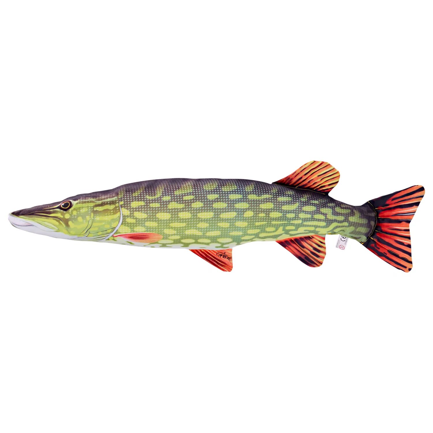 Фон щука. Northern Pike рыба. Щука. Щука на белом фоне. Щука без фона.