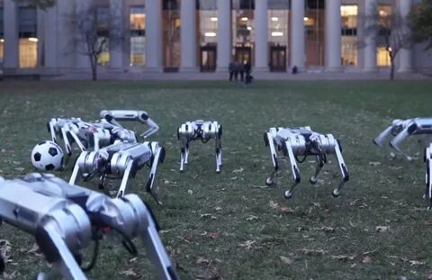 Legged robots