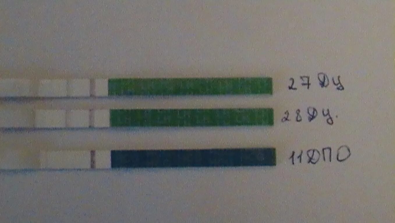 Овуляция есть тест отрицательный. Положительный тест на 30 день цикла. 28 ДЦ из 31 тест отрицательный. 27 ДЦ из 28 тест отрицательный. 26 ДЦ тест на беременность отрицательный.