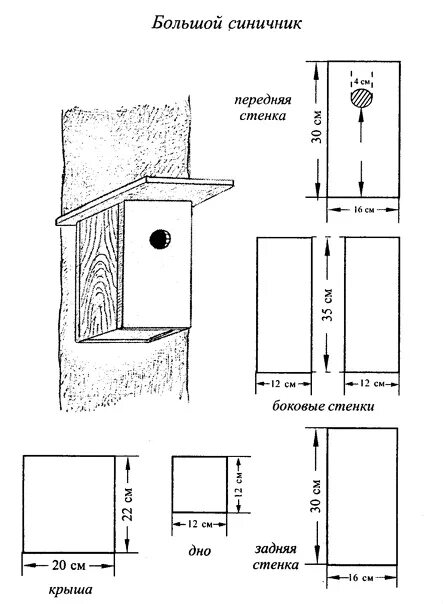 Скворечник для птиц из дерева чертежи. Скворечник дуплянка чертеж. Синичник чертеж 140 мм. Дуплянка для Скворцов Размеры. Чертежи скворечника и синичника.