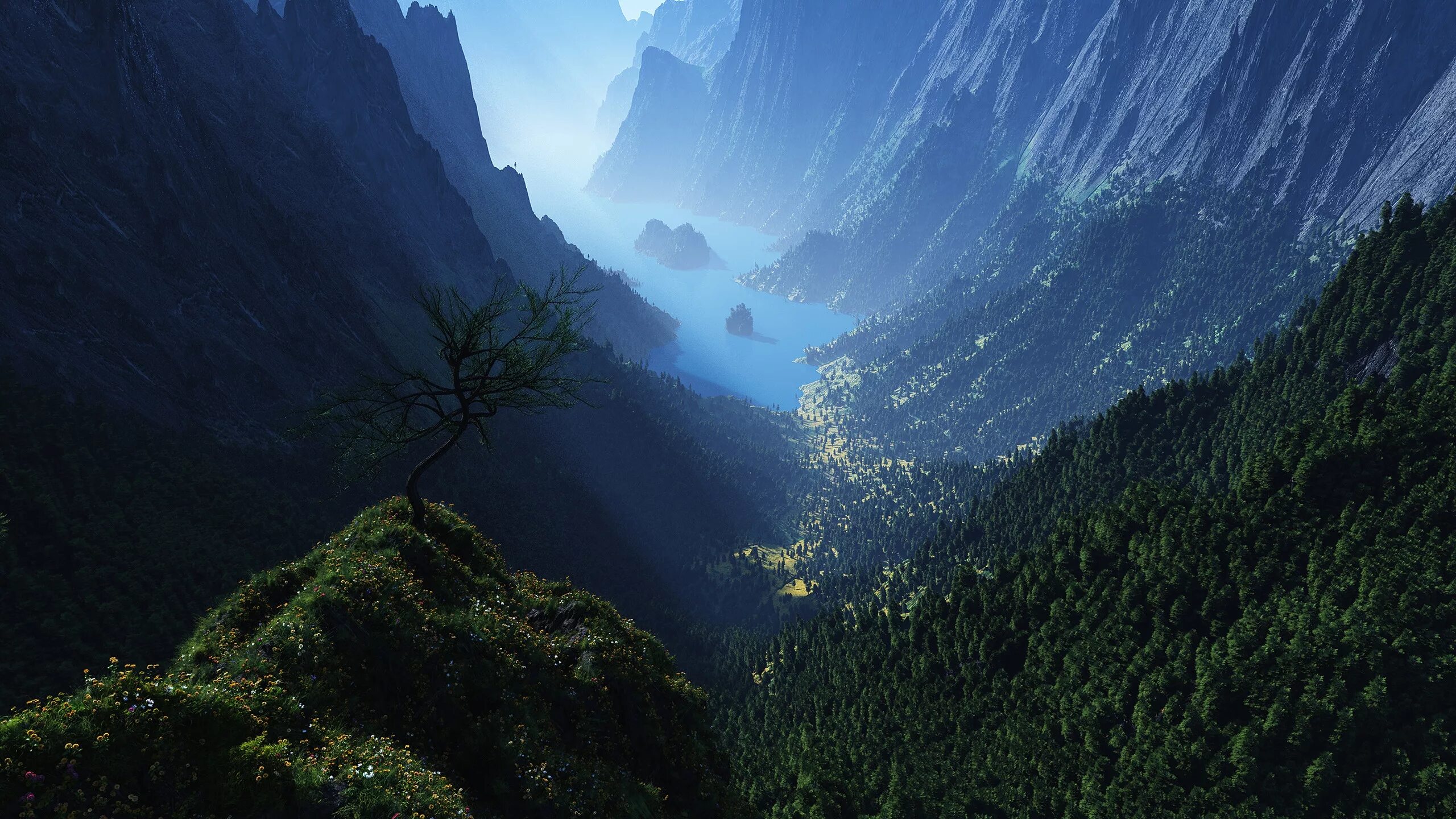 Долина Паланкар. Лес горы. Красивые виды гор. Горы море лес.