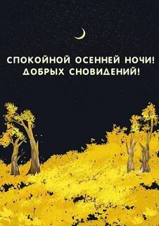 Хорошей ночи осень