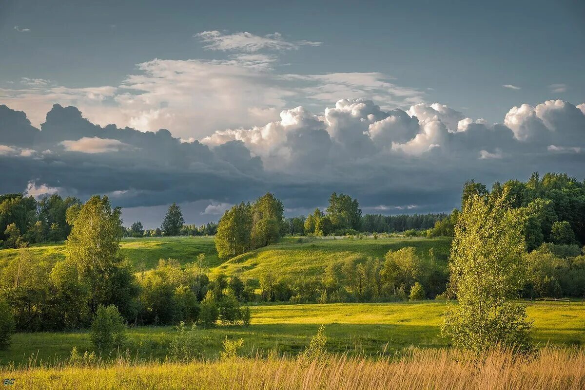 Родные просторы Пушгоры панорама. Природа Кострома области. Лесной пейзаж Кострома. Среднерусская полоса России. Природа средней полосы россии текст