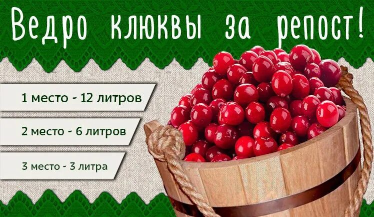 Клюква стоит 250 рублей. Клюква в ведре. Сколько литров в 1 кг клюквы. Килограмм клюквы в литрах. Литр клюквы в кг.