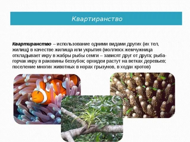 Типы экологических взаимодействий