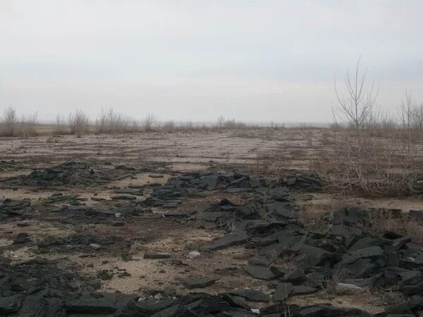Погода п соколе