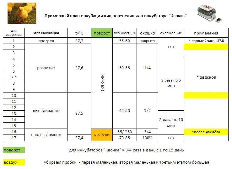 Инкубация индюшиных яиц в инкубаторе несушка. Таблица инкубации инкубация перепелиных яиц. Таблица инкубации перепелов в инкубаторе. Режим инкубации перепелиных яиц таблица. Таблица инкубации перепелиных яиц в инкубаторе блиц норма 48.