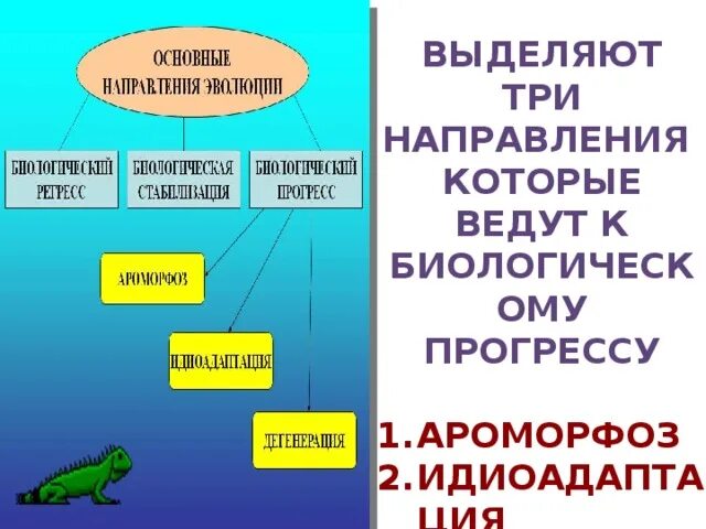 Три направления в биологии. Направления эволюции таблица. Общая дегенерация Прогресс. Основные направления развития современной биологии.