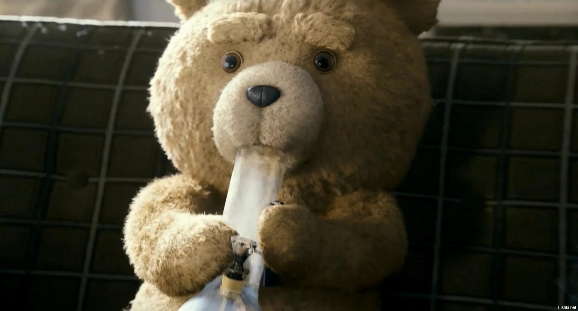 Третий лишний мишка. Мишка тедди третий лишний. третий лишний  ted (2012). третий лишний 2 тед курит.