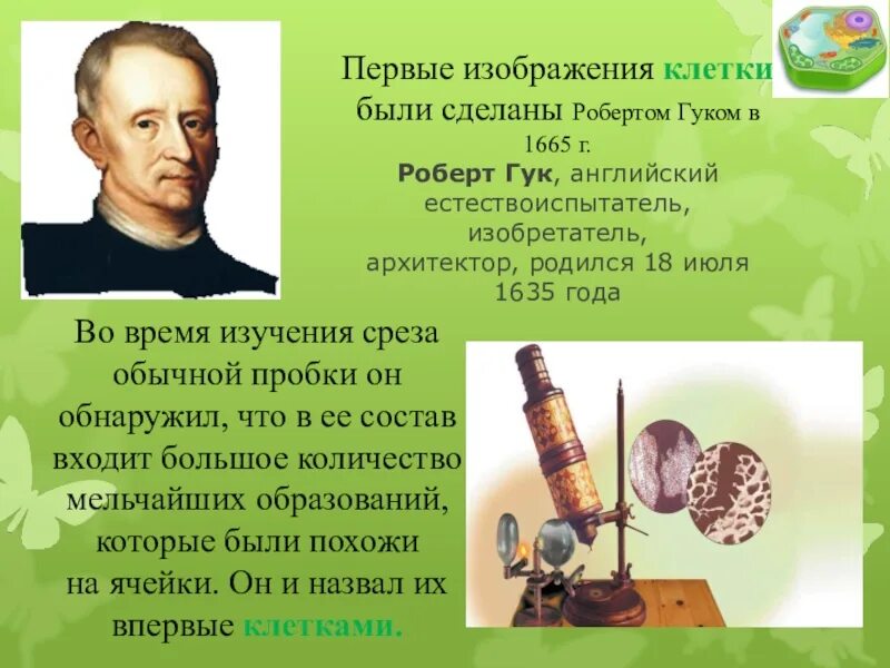 Какой ученый открыл существование клеток живых