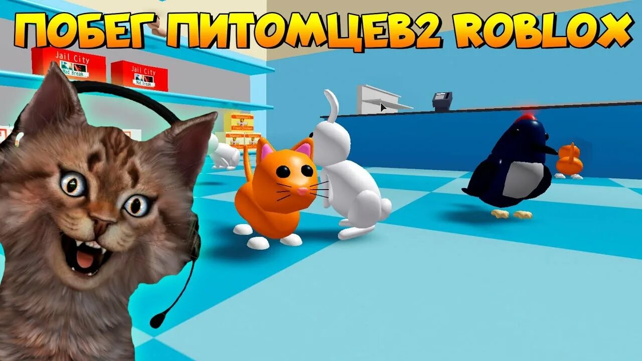 Побег котенка играть. РОБЛОКС питомец Escape 2. Побег питомцев в РОБЛОКСЕ. Pet Escape 2 петы. Побег питомцев супермаркете в РОБЛОКС\.