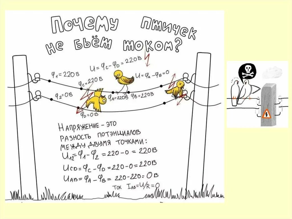 Почему птиц не бьет током. Почему птиц не бьёт током на проводах. Почему птичек не бьет током на проводах. Почему птичек не бьет током.