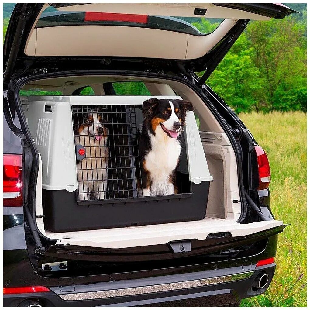 клетка в багажник для собаки. клетка для собак в багажник автомобиля. автобокс для перевозки собак трикси. клетка для собак в автомобиль. автобокс для собак в машину.