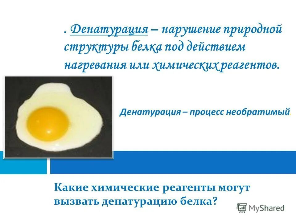 Денатурация белка под действием. Функции денатурации белка. Процесс денатурации белка. Необратимая денатурация белков. Денатурация куриного белка.