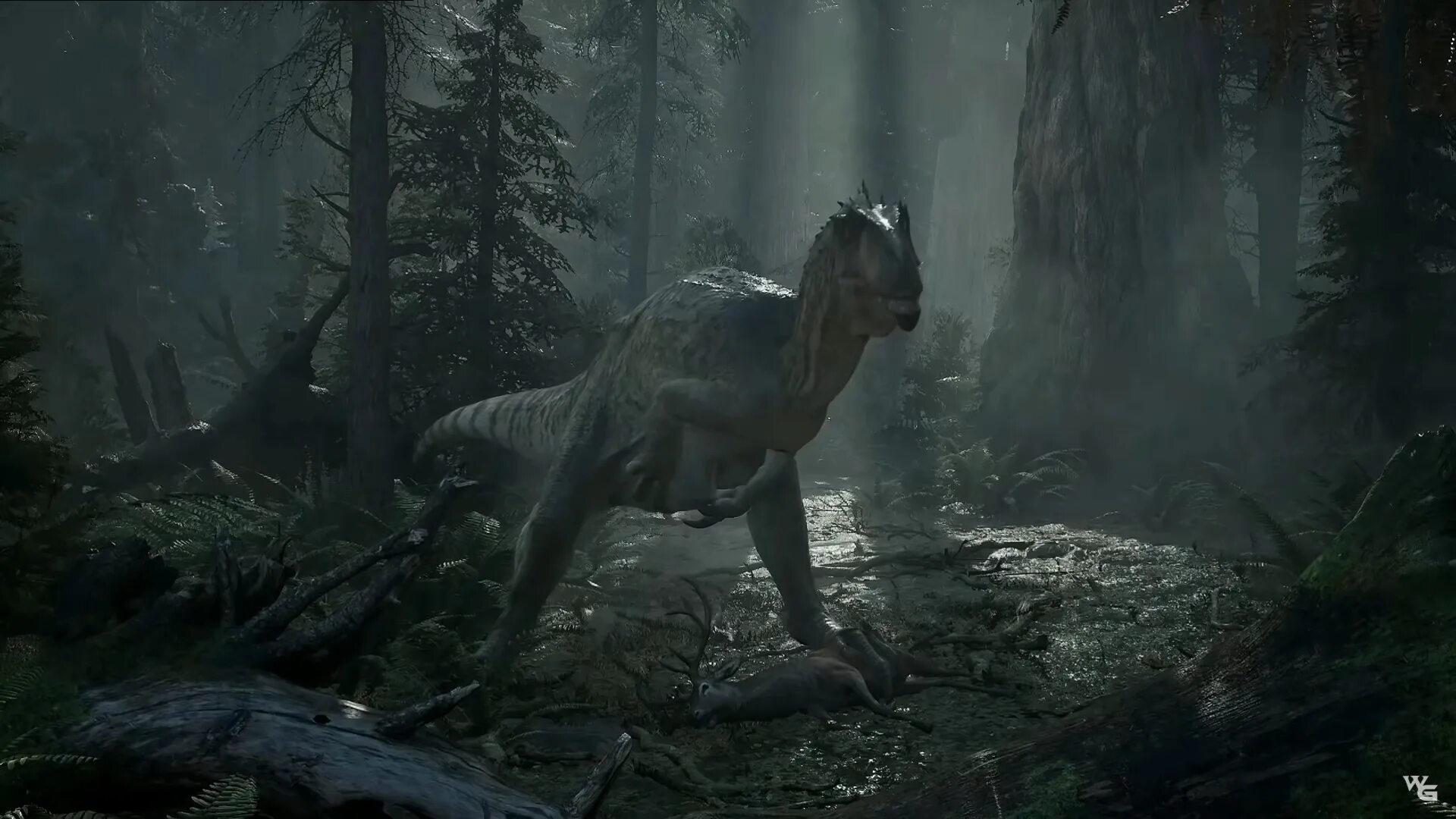 Wild date. The lost wild игра. the lost wild игра 2025. the lost wild дата выхода.