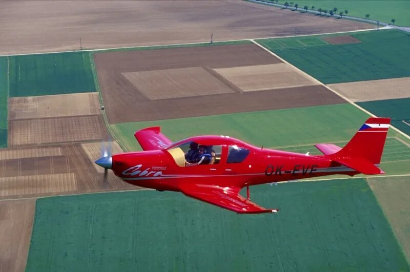 Египетская королевская кобра. Самолет кингкобра. Evektor vut100 cobra price. Golden cobra100. Королевская кобра на золоте.