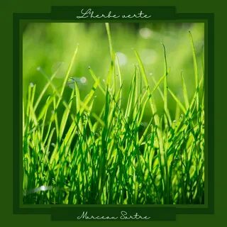 Good grass