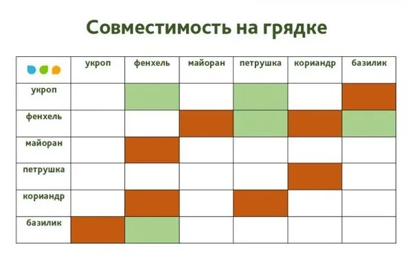 Можно ли сажать петрушку рядом. Совместимость на грядке. Совместимость овощей на одной грядке. Совместимость на грядке таблица. Совместимость посадок.