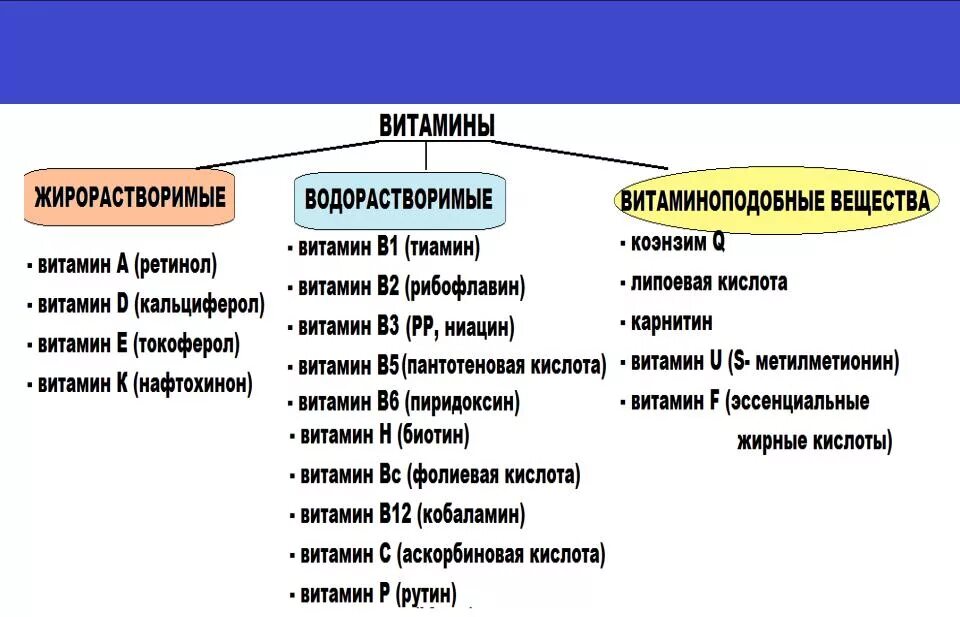 Характеристика водорастворимых витаминов. Водорастворимые витамины и жирорастворимые витамины. Классификация витаминов водорастворимые и жирорастворимые. Схема водорастворимые и жирорастворимые витамины. Водорастворимые и жирорастворимые витамины таблица.