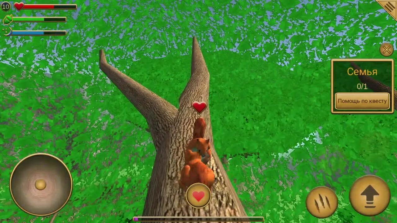 Симулятор белка играть в белку. Белка симулятор 2. Симулятор белки. Игра белка. Игра белка.