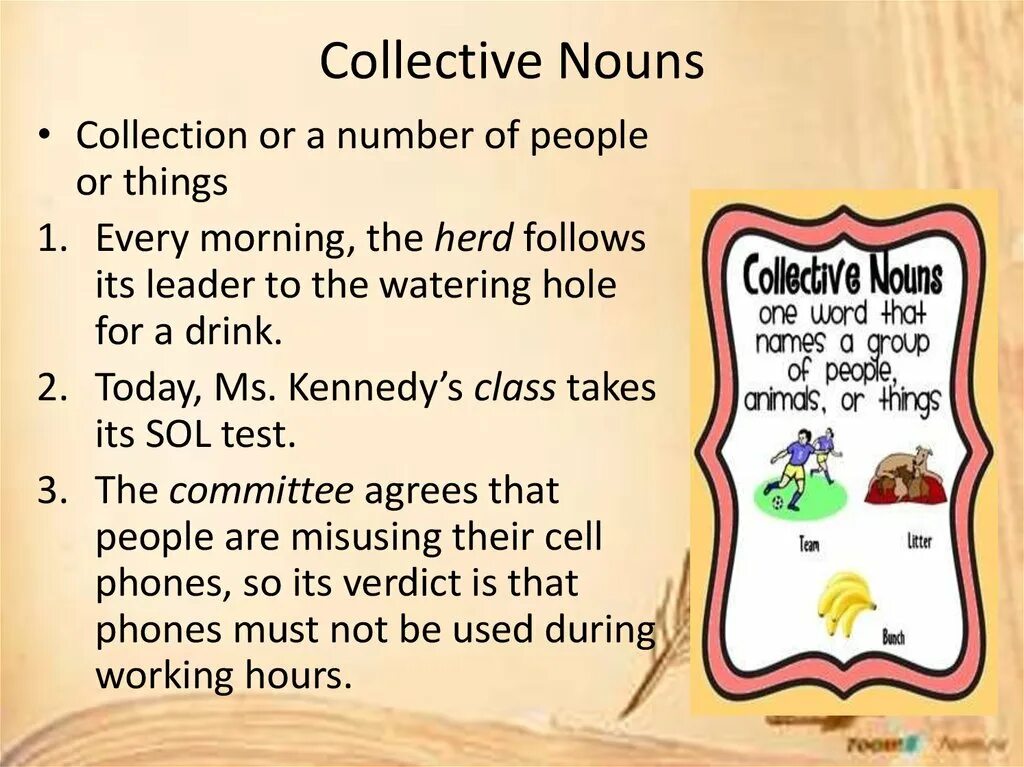 Collection Nouns. Collective Nouns упражнения. Collective Nouns exercises. Collective Nouns презентация.