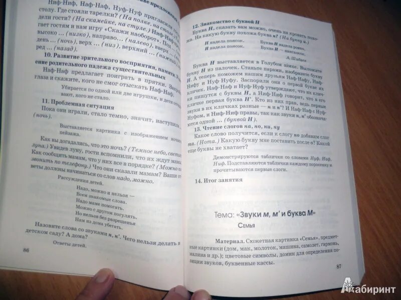 Волшебный мир звуков и букв пожиленко. Пожиленко методические рекомендации. Централизованное тестирование по русскому языку. Пожиленко волшебный мир. Учебник логопеда.