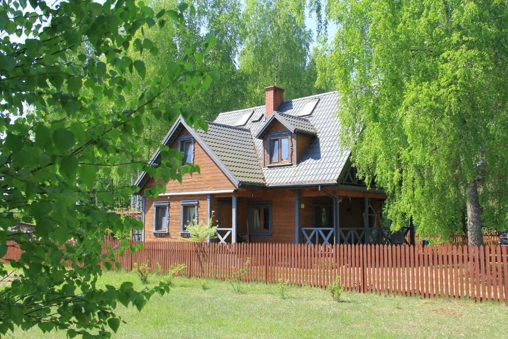 Беловежа Польша. Деревня Беловеж. Беловеж городок. В районе деревни Беловежа,.