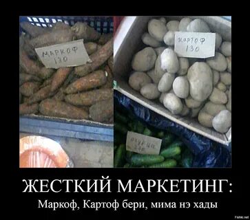 20 объявлений