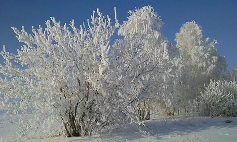 Северный мороз