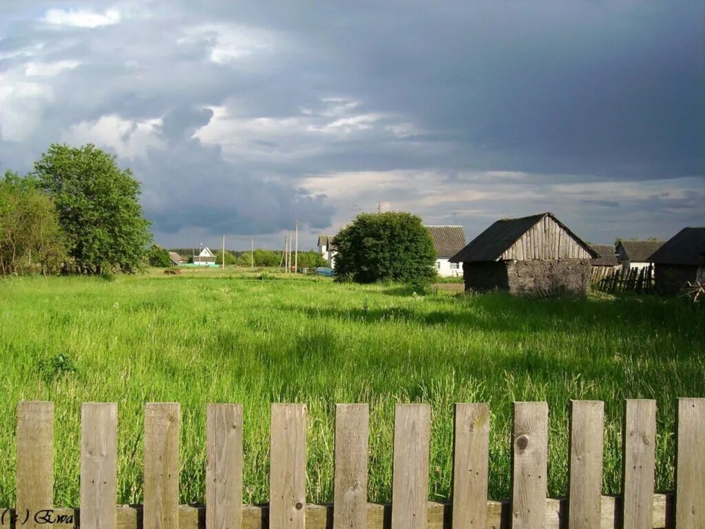 Целую деревню