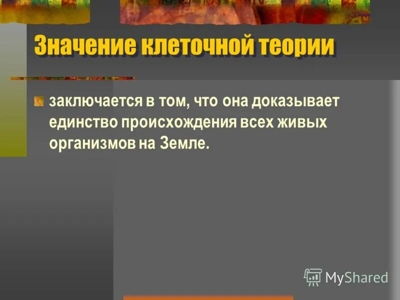 Биология 10 кл клеточная теория. Единство происхождения. Факты о единстве происхождения всех живых организмов. Используя положения клеточной теории докажите единство. Основные положения первой клеточной теории.