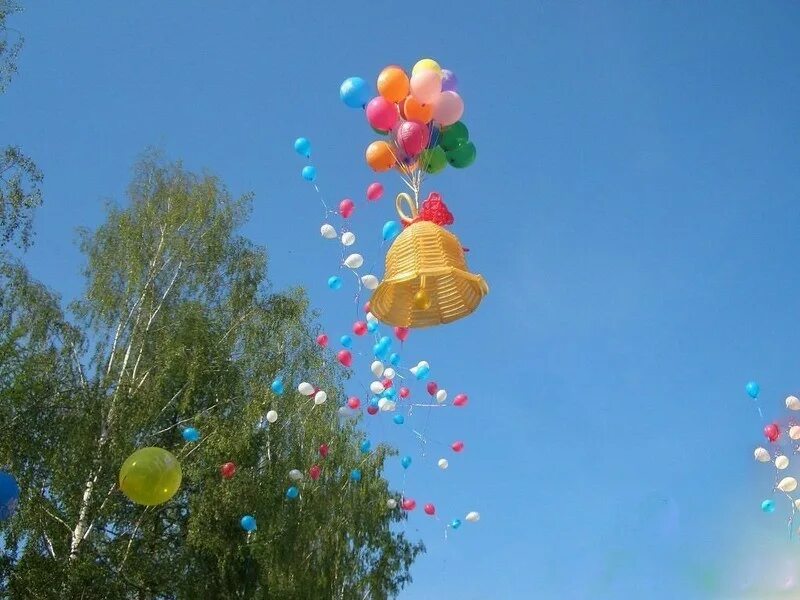 Выпускаем воздушные шары. Запускают воздушные шары. шары на последний звонок. выпускной шары в небо. последний звонок шарики.