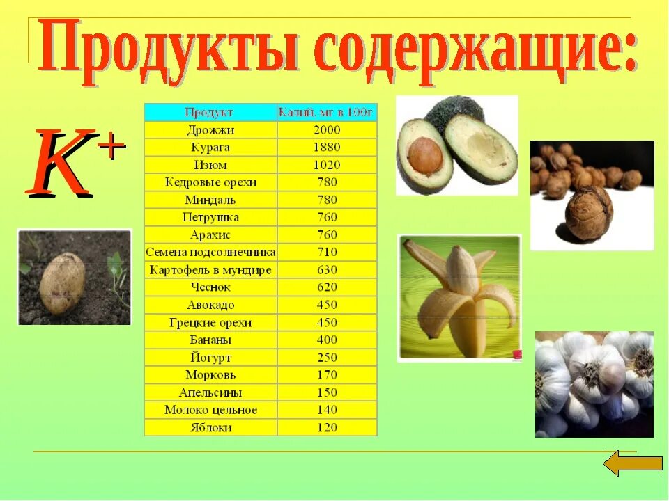 Продукты содержащие дрожжи. Перечень продуктов содержащих дрожжи. Дрожжевые продукты список продуктов. Где содержатся дрожжи. В грибах содержится белок