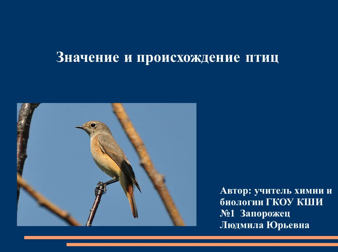 Значение птиц биология 7 класс. Происхождение птиц птицы. Презентация на тему происхождение птиц. Значение и происхождение птиц. Происхождение птиц 7 класс биология.