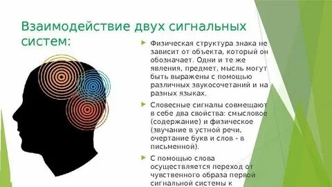 2 системы мышления