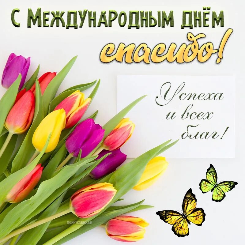 С дне спасибо. С дне спасибо
