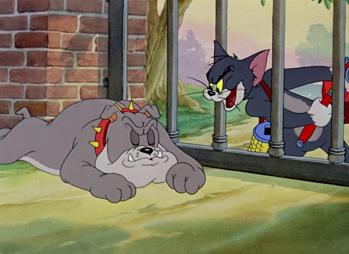 Поставь тома джерри. Том и Джерри 1967. Том и Джерри Tom and Jerry. Том и Джерри том 1963. Том и Джерри 1997.