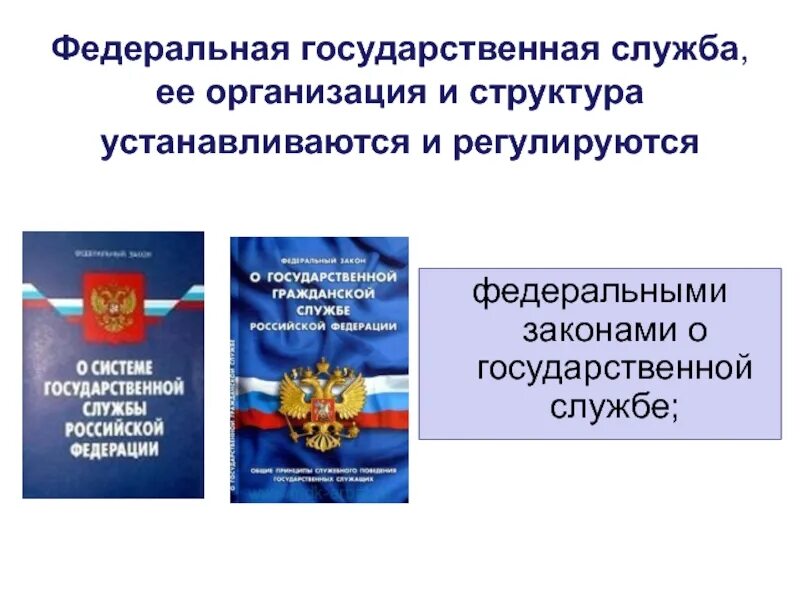 Закон о специальных государственных органах