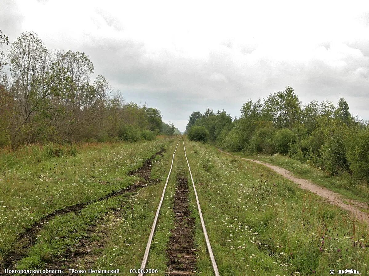 Тесово новгородская область. Тесово 1 Новгородская область. Тёсово-Нетыльский Новгородская область. Тёсово-Нетыльский Новгородская область Рогавка. Узкоколейка Тесово.