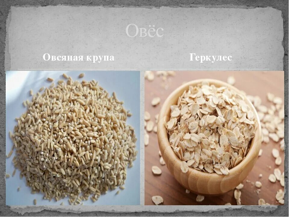 Разница геркулеса и овсяных хлопьев