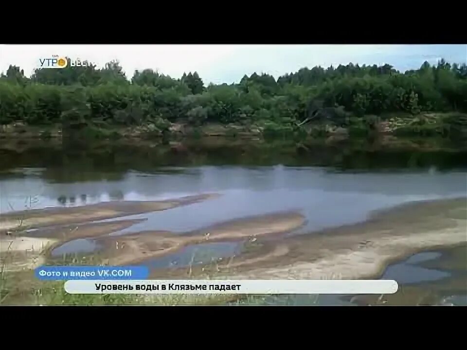 Уровень воды в клязьме город ковров. Река Клязьма обмелела. Загрязненная река Клязьма в Щелково. Уровень воды в Клязьме.